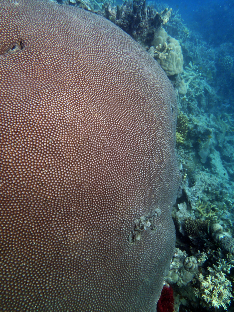 P9170380.png