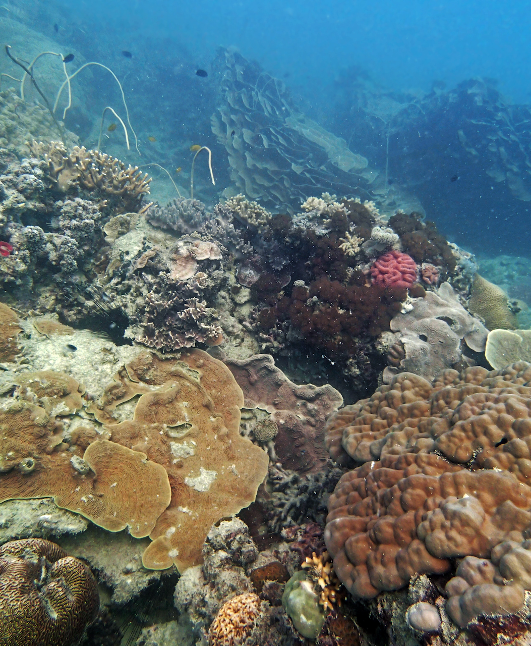 P9170364.png