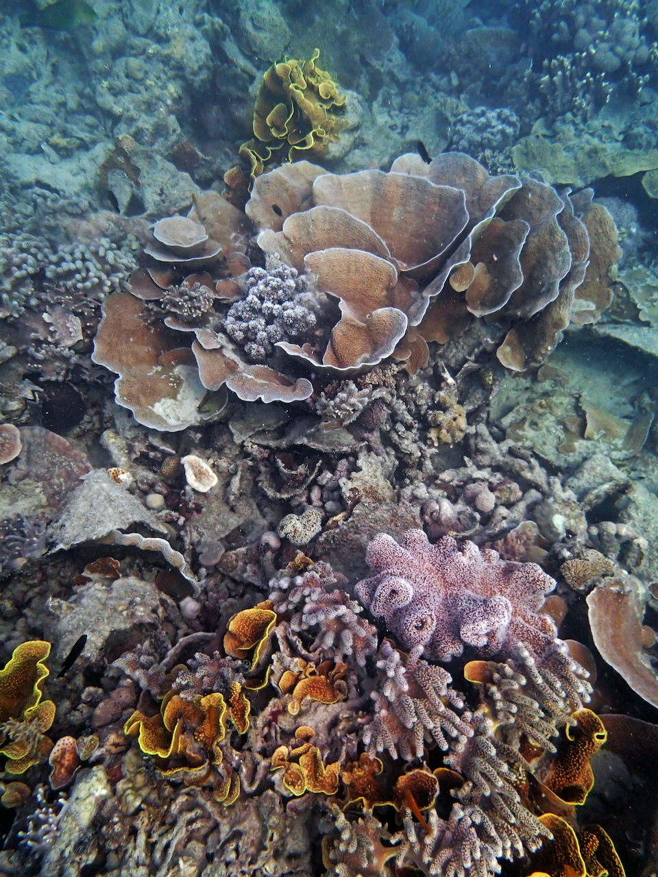 P9170373.png