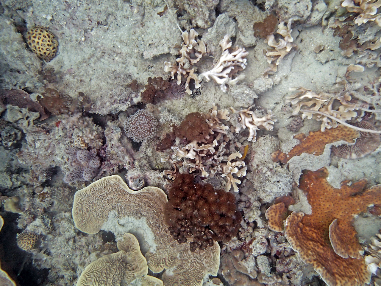 P9170356.png