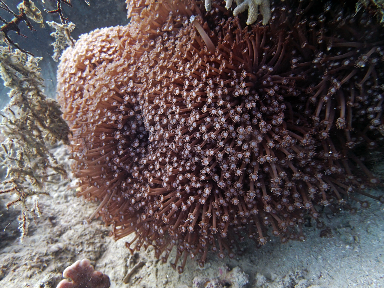 P9170341.png