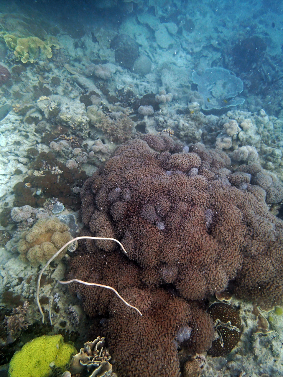 P9170370.png