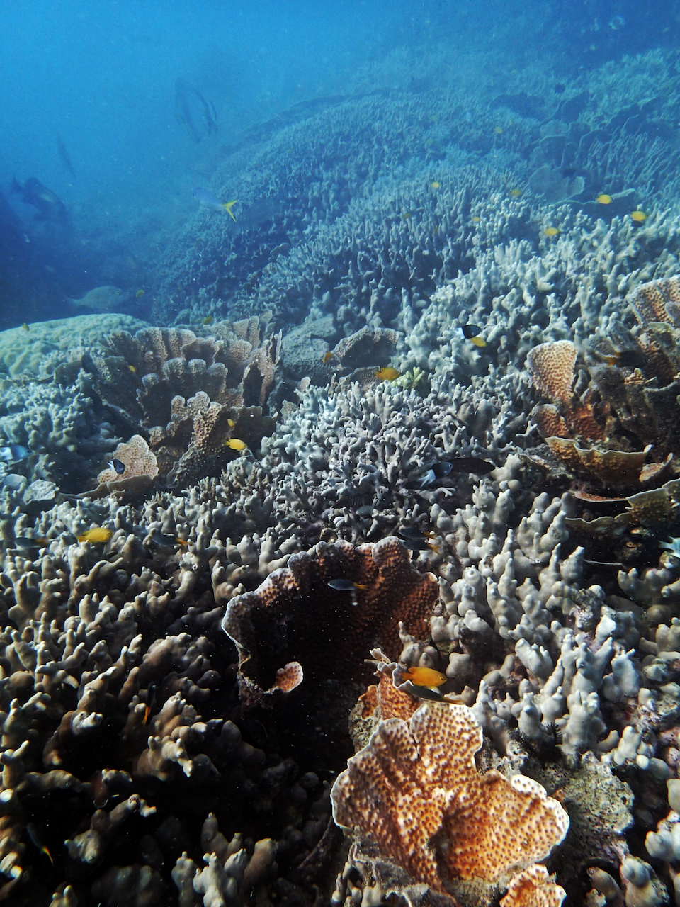 P9170377.png
