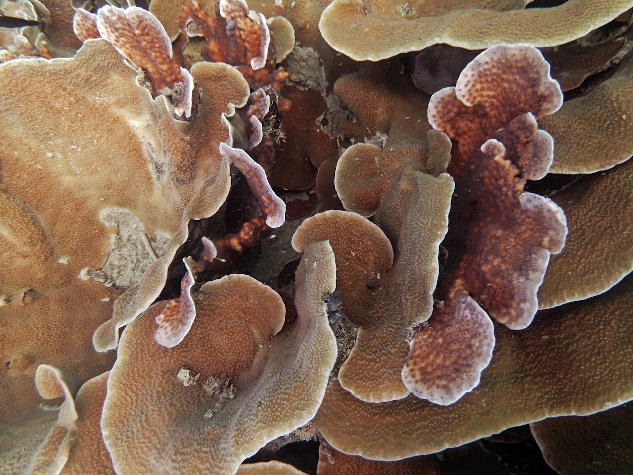 P9170372.png
