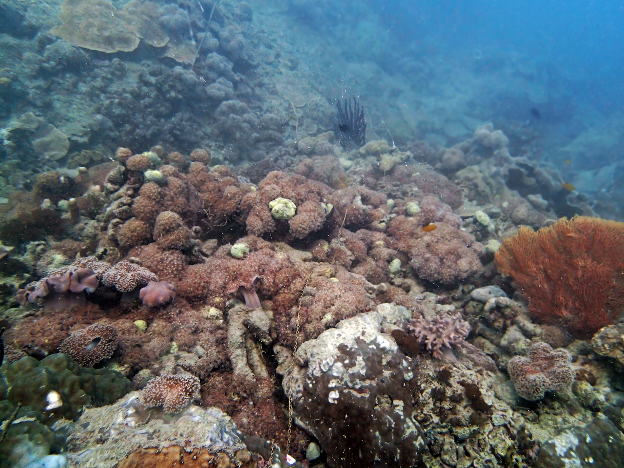 P9170343.png