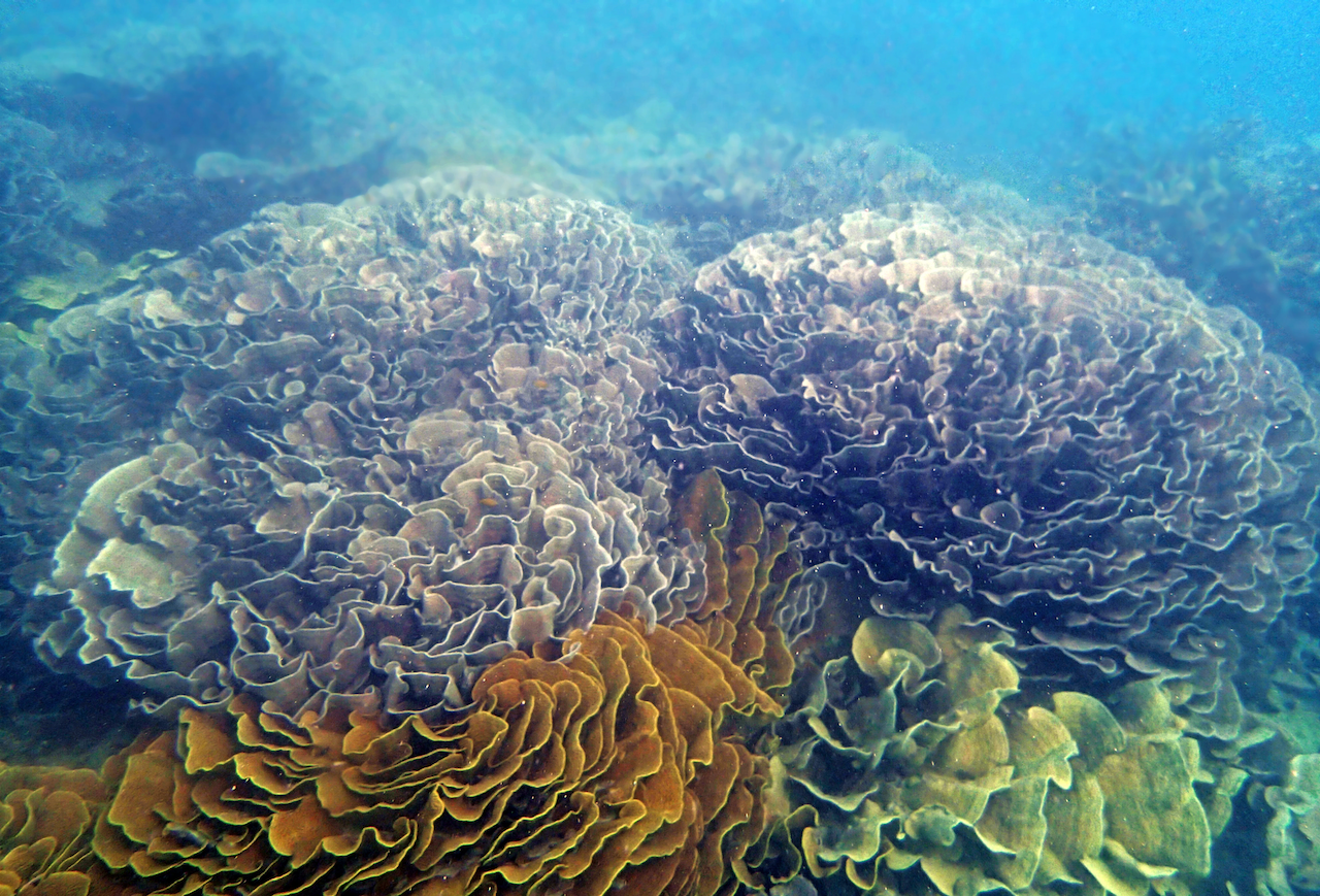 P9170383.png