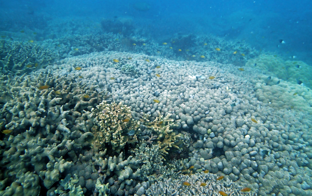 P9170376.png