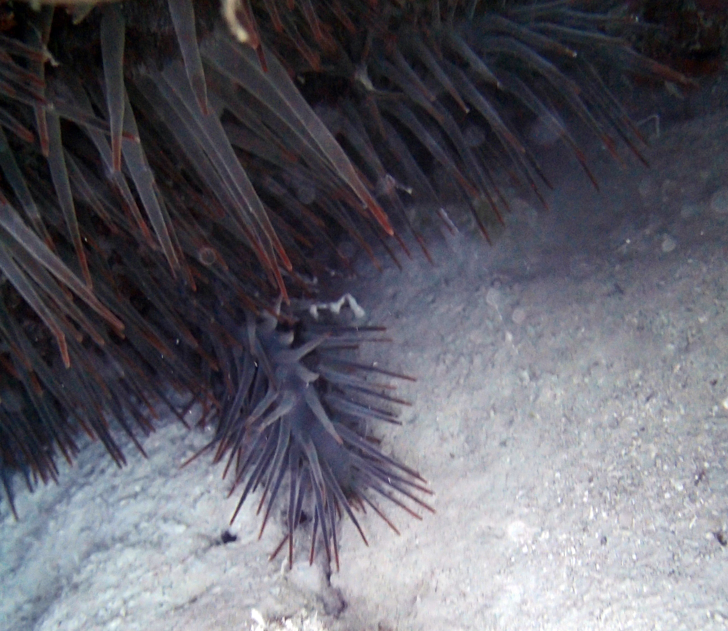 P9180277.png