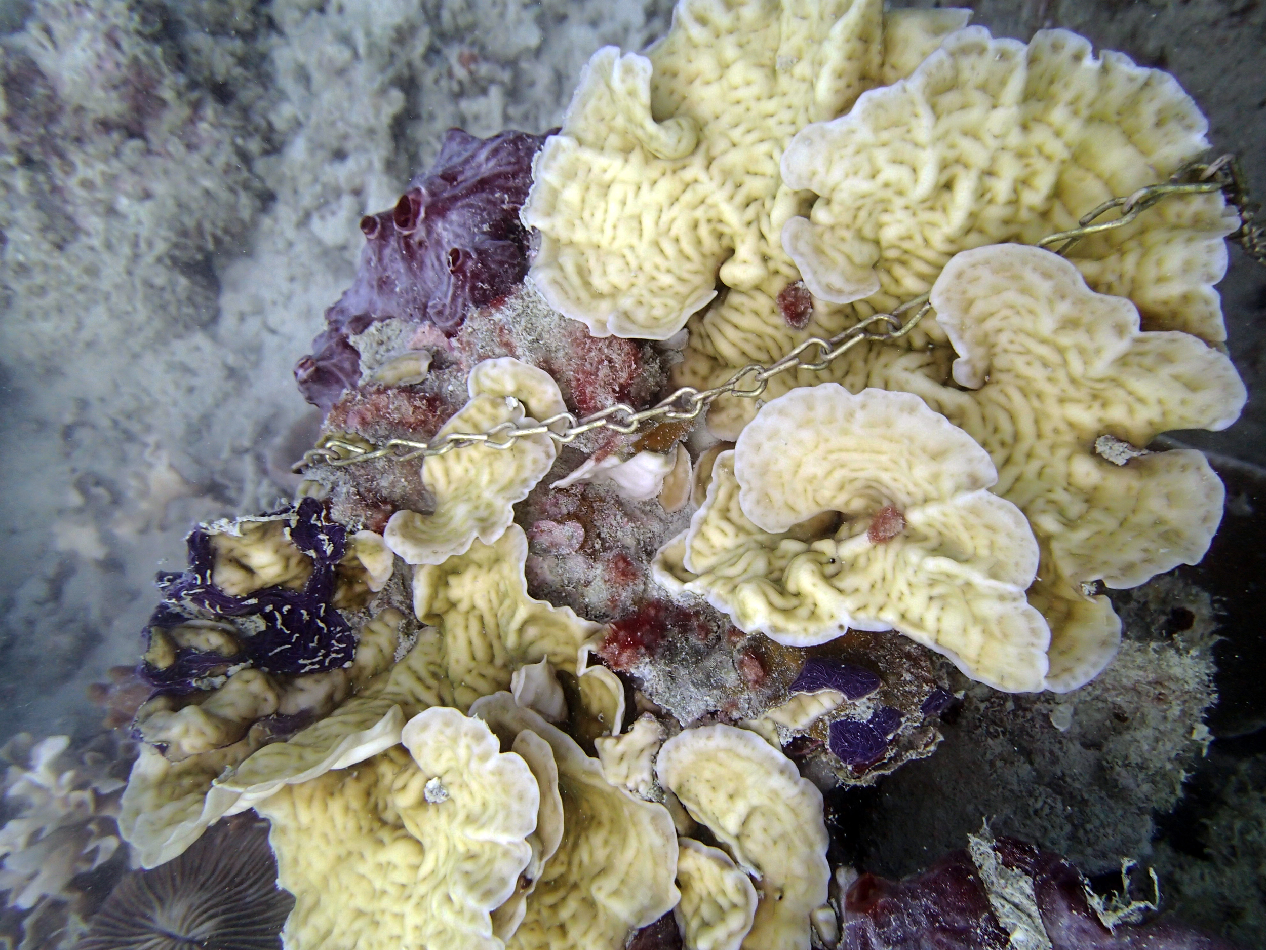P9200260.png