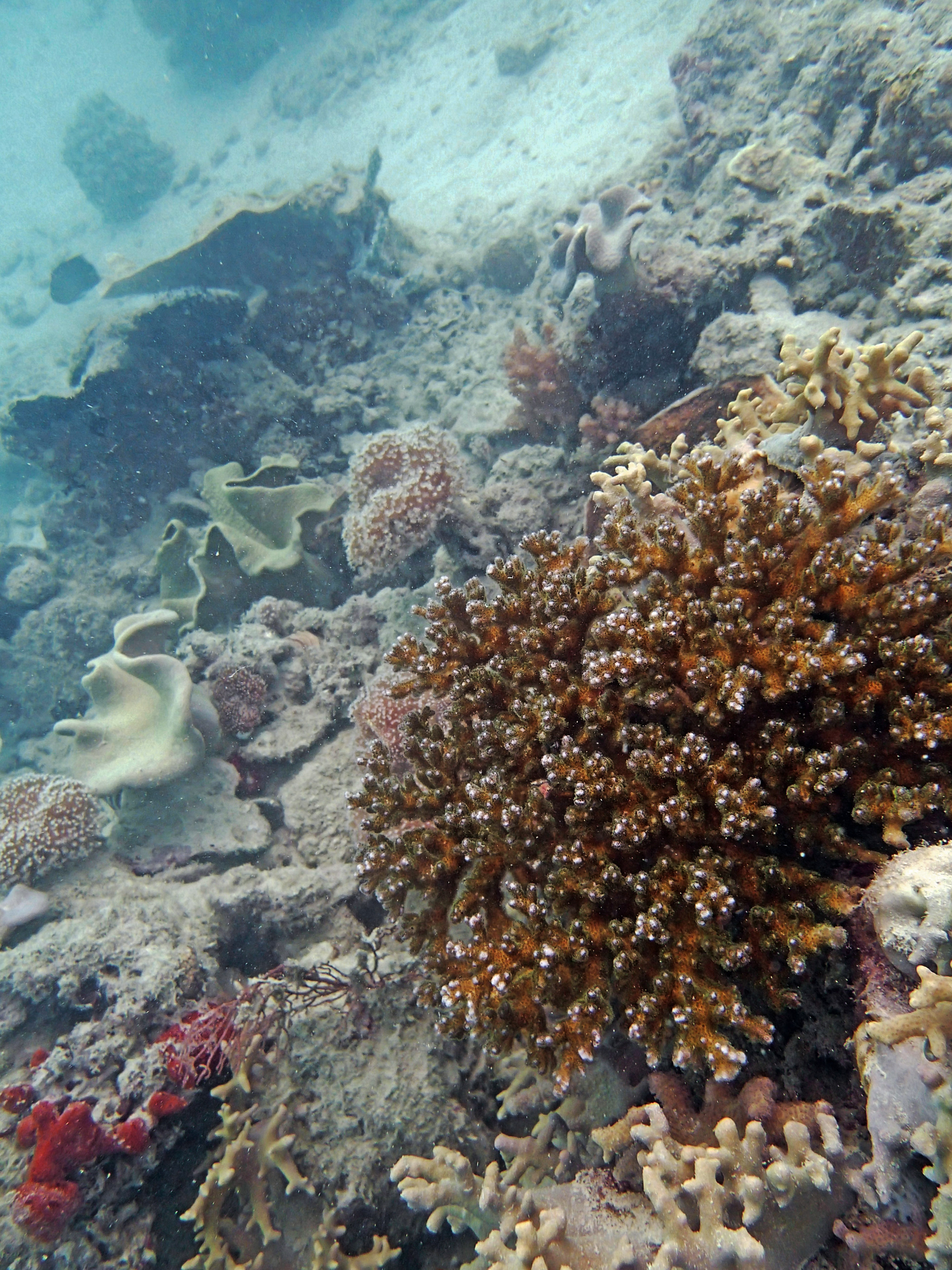 P9200259.png
