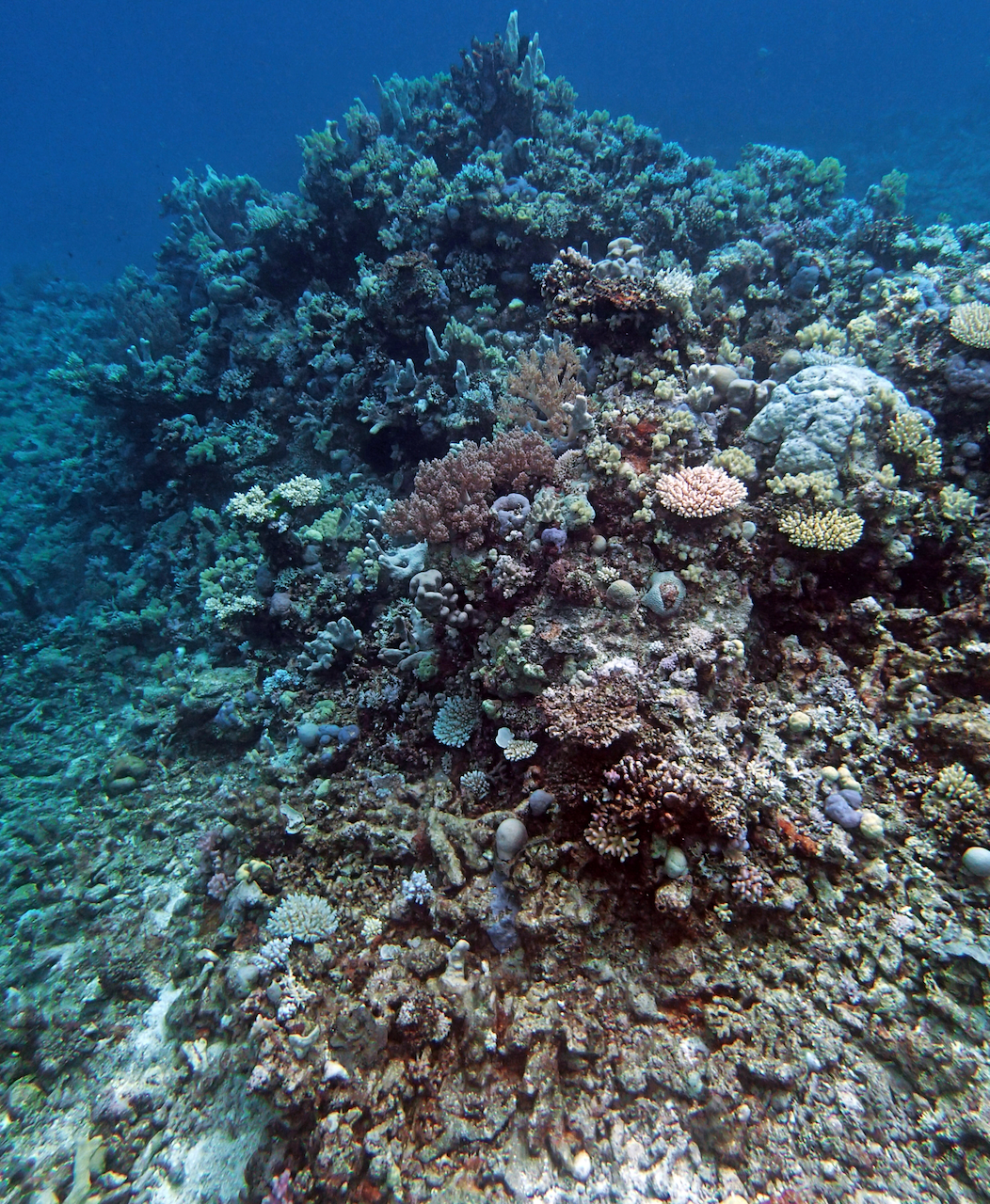 P9210314.png