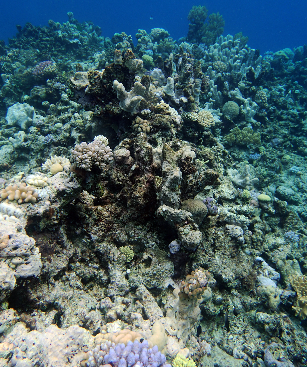 P9210326.png