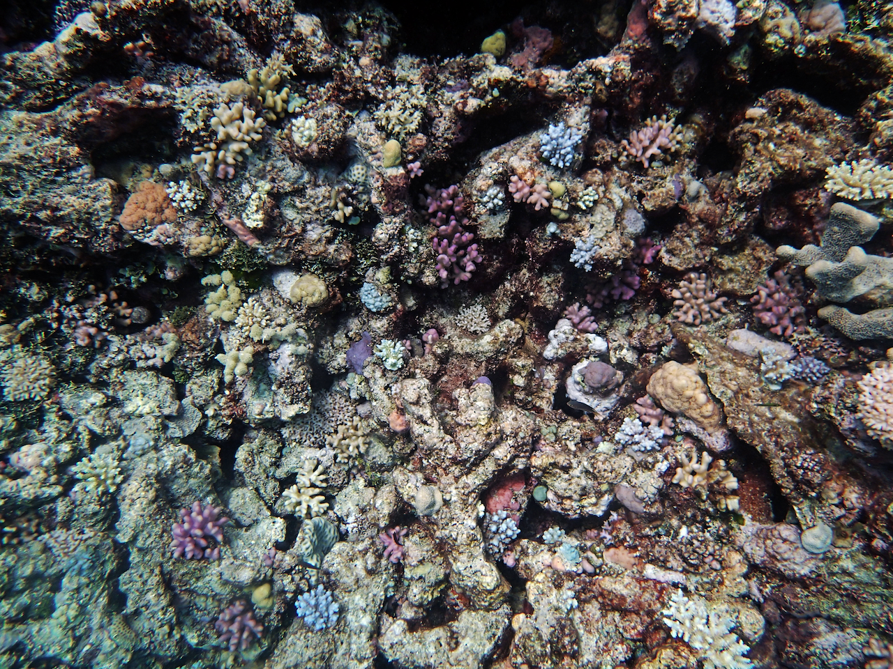 P9210319.png