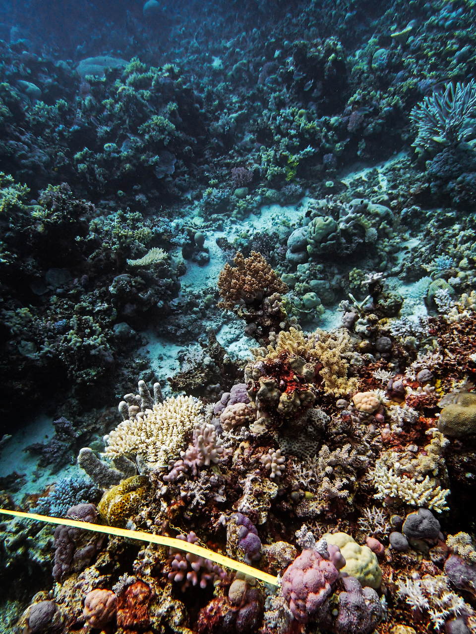 P9210303.png