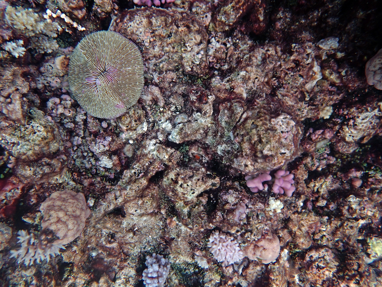 P9210320.png