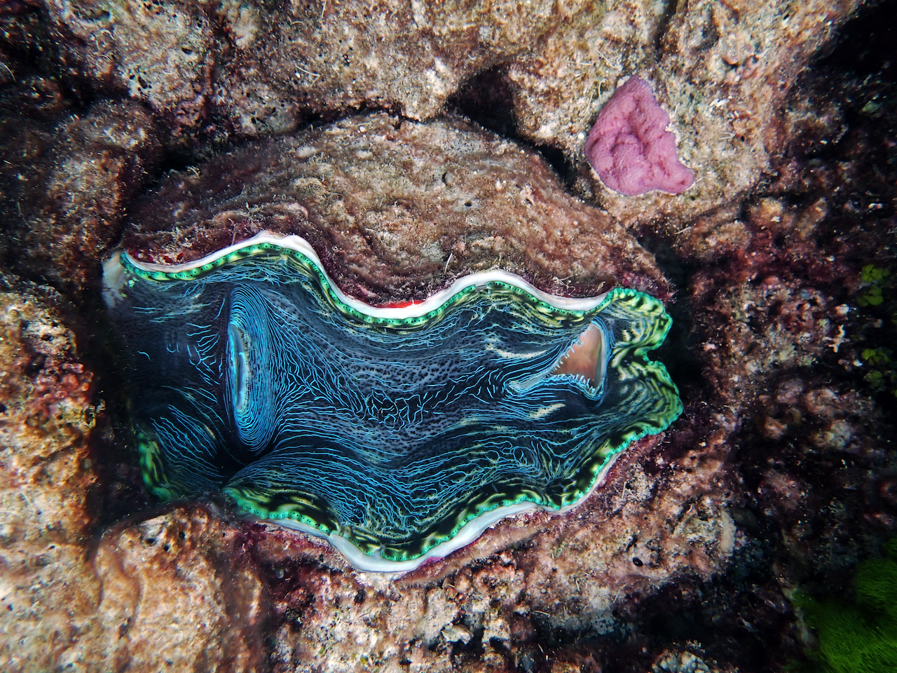 P9210321.png