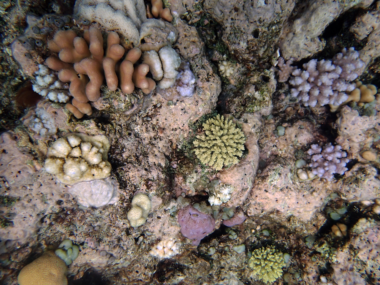 P9210327.png