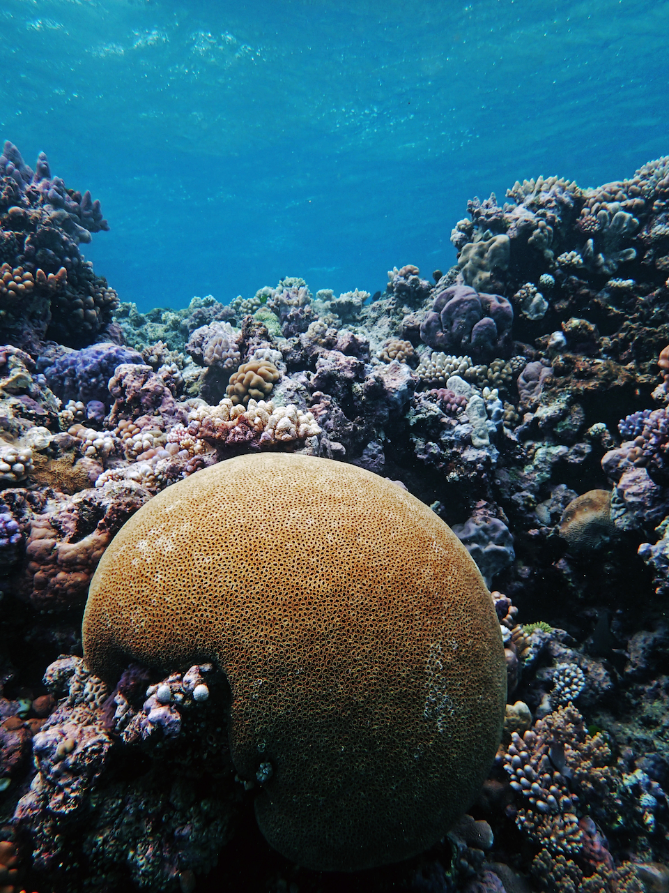 P9210322.png