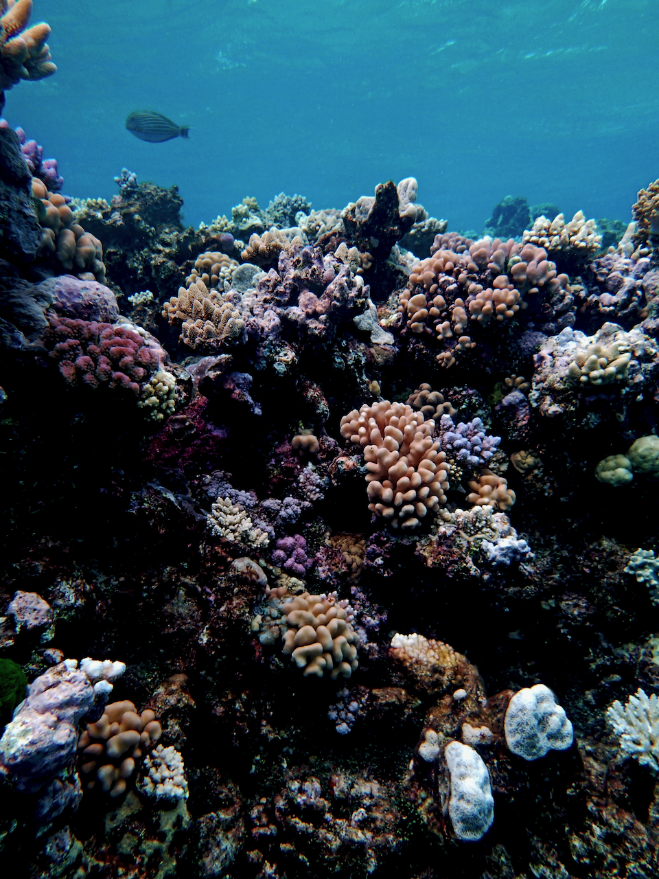 P9210324.png