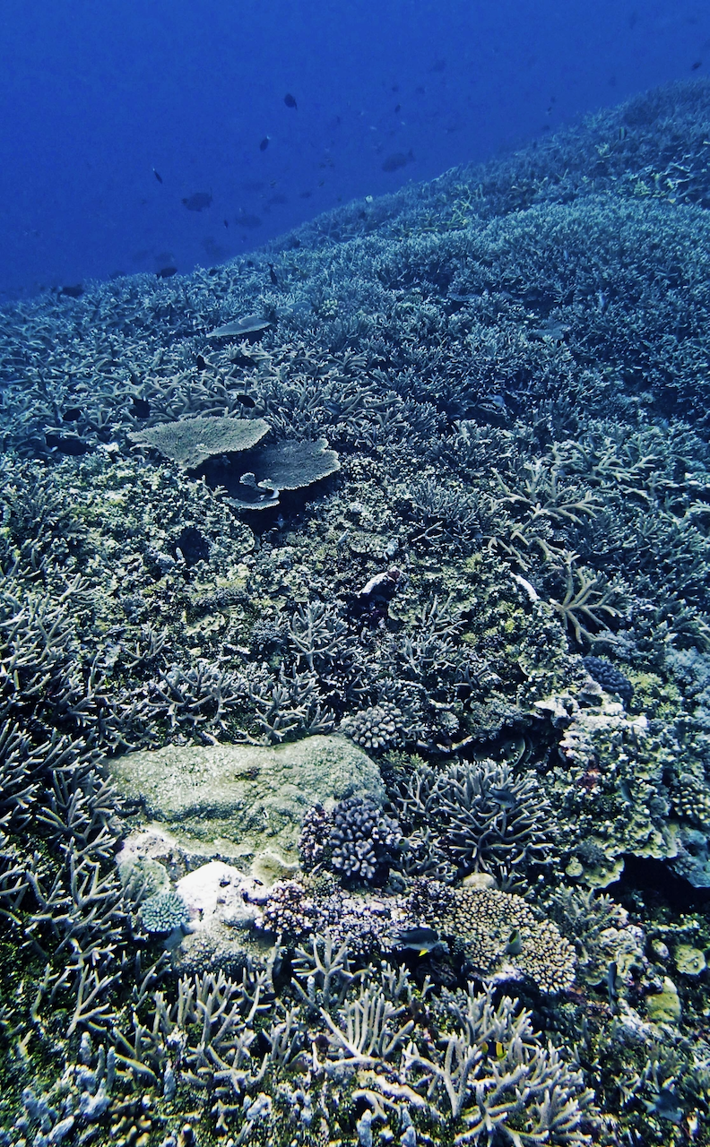 P9210385.png