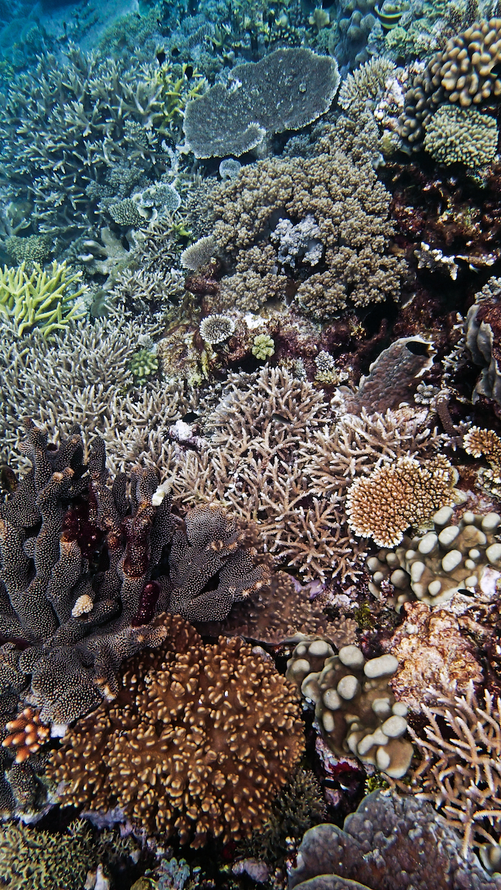 P9210397.png