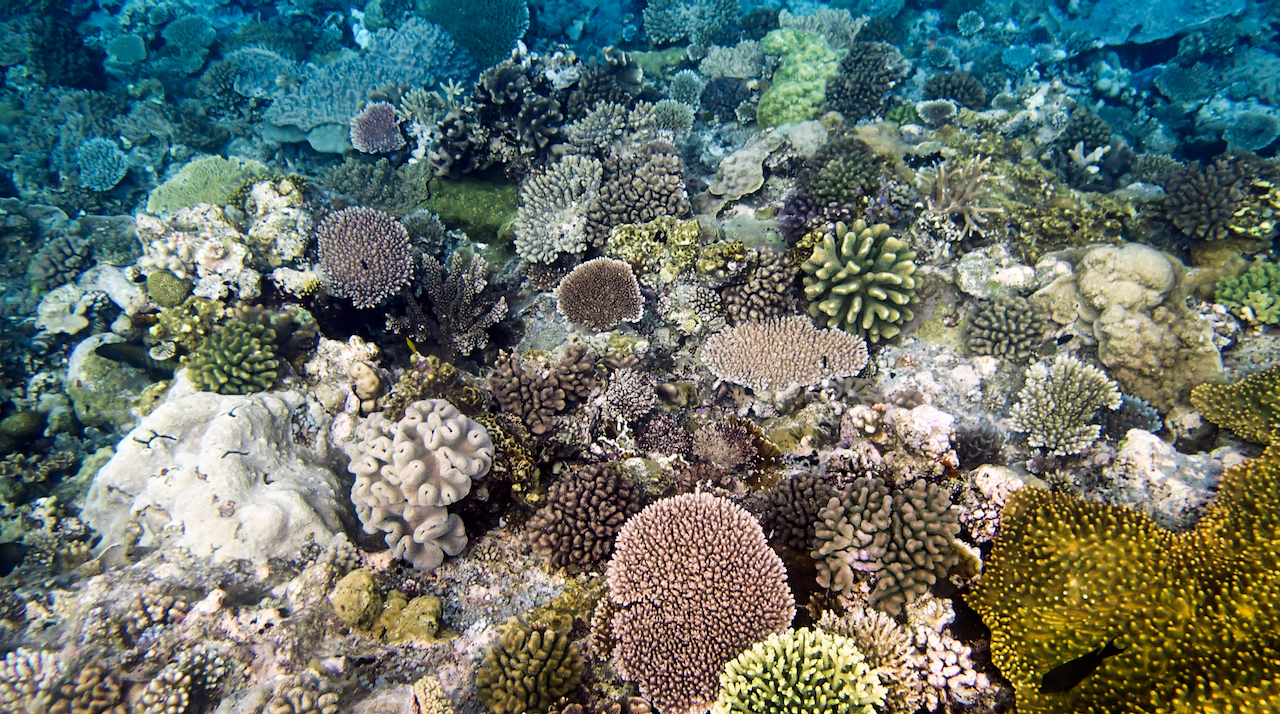 P9210414 (1).png