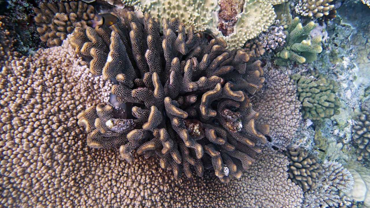 P9210415.png