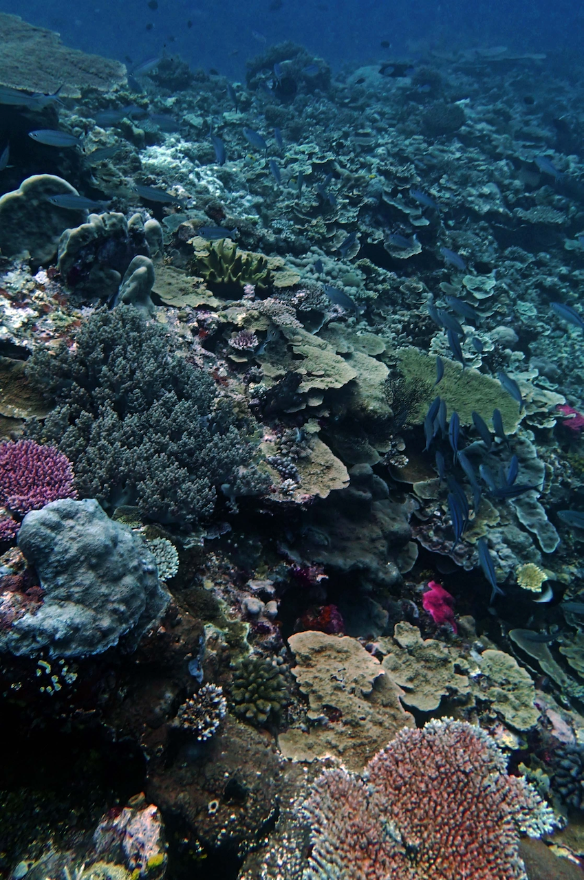 P9210357.png
