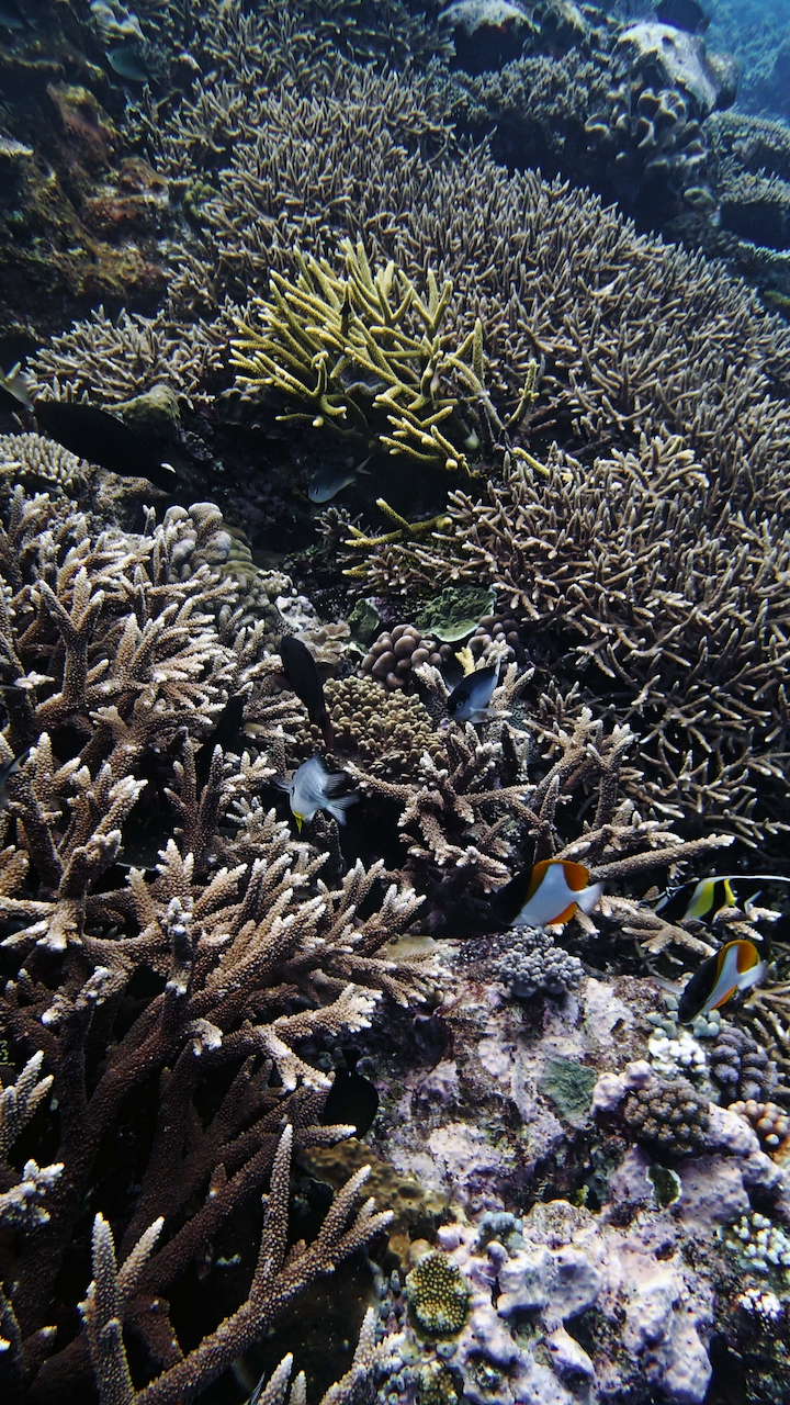 P9210396.png