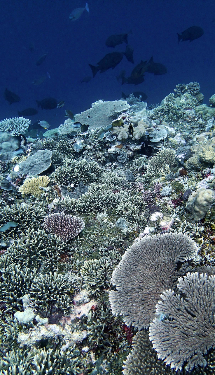 P9210374 (1).png
