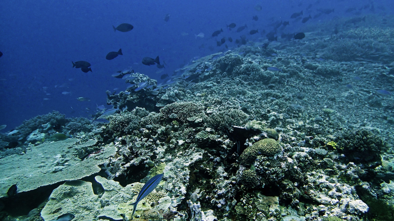 P9210352.png