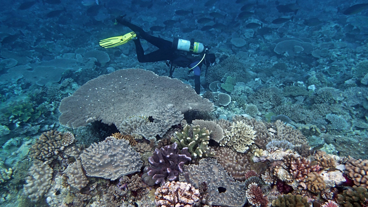 P9210412.png
