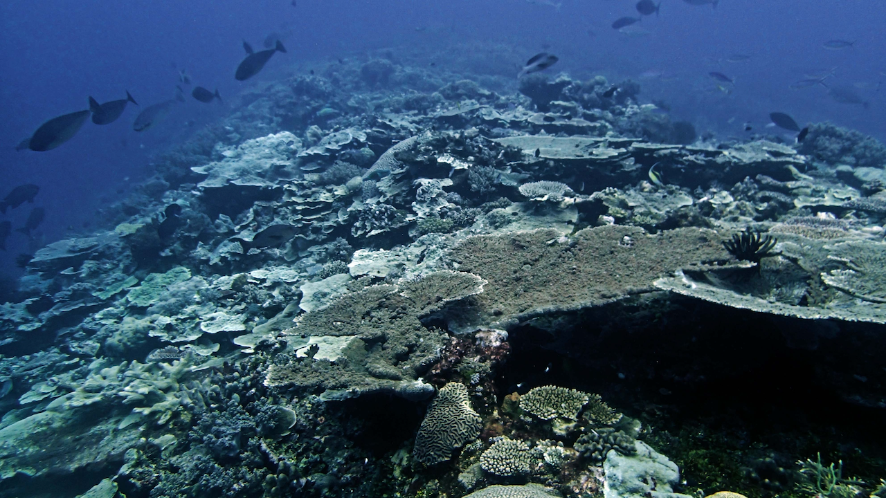 P9210363.png