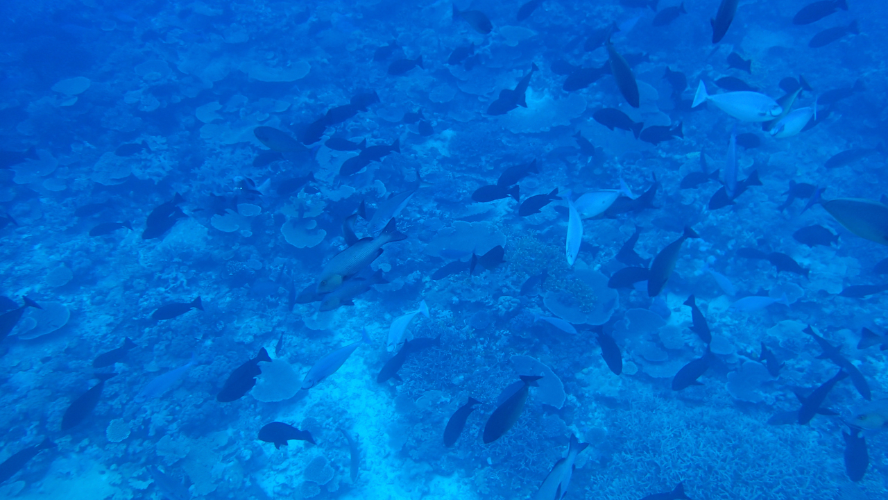 P9210330.png