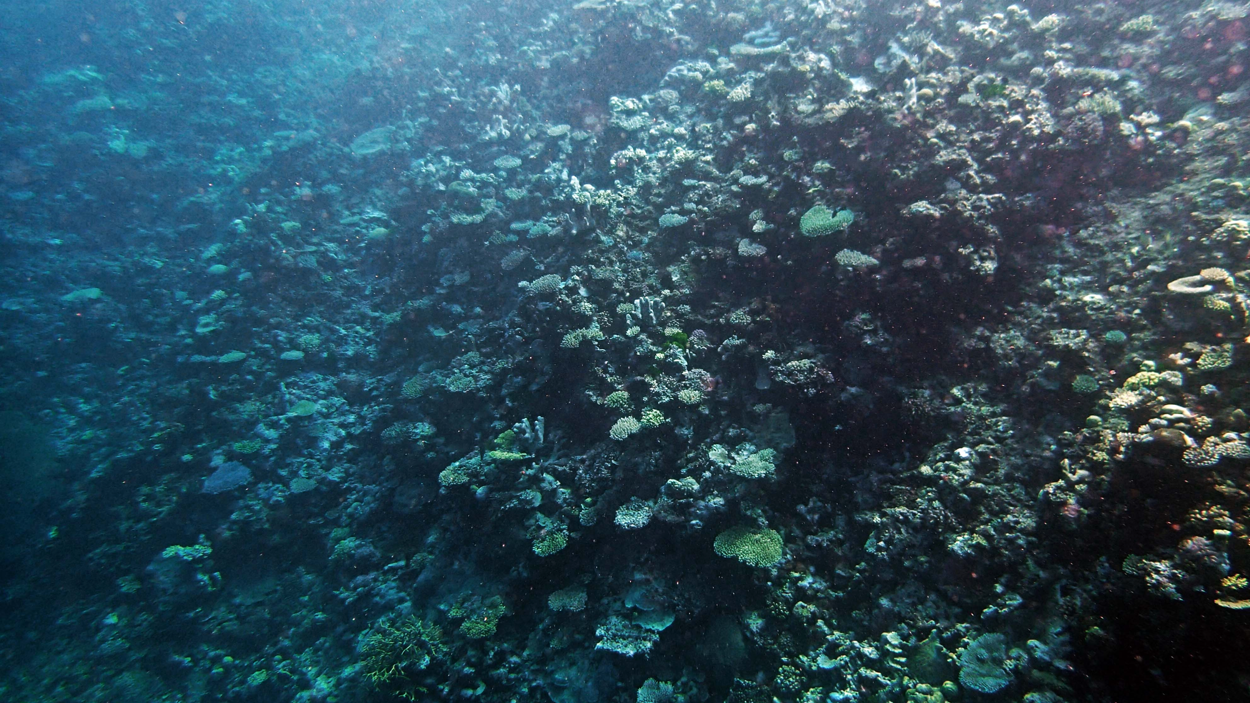 P9220414.png