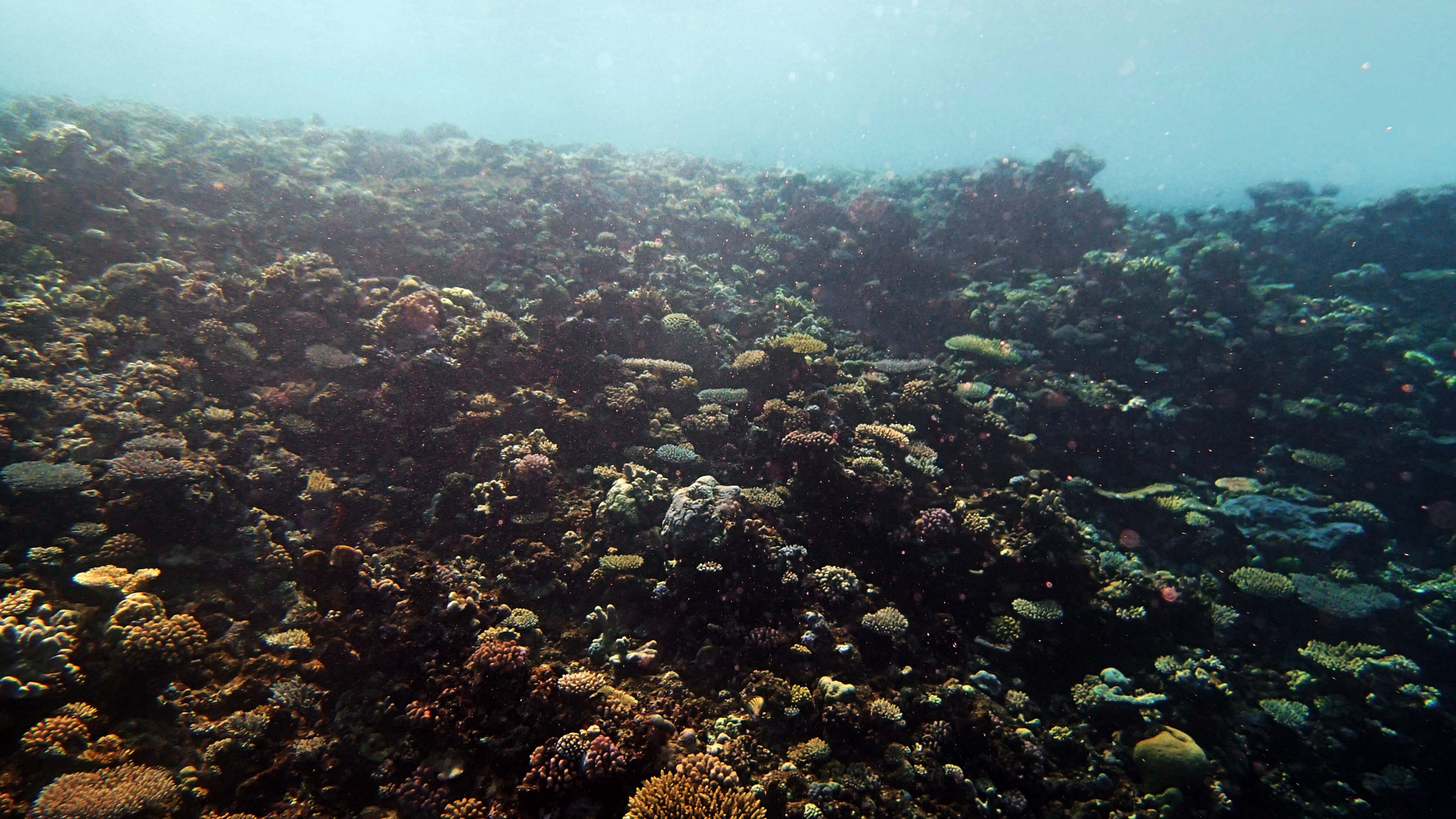 P9220413.png
