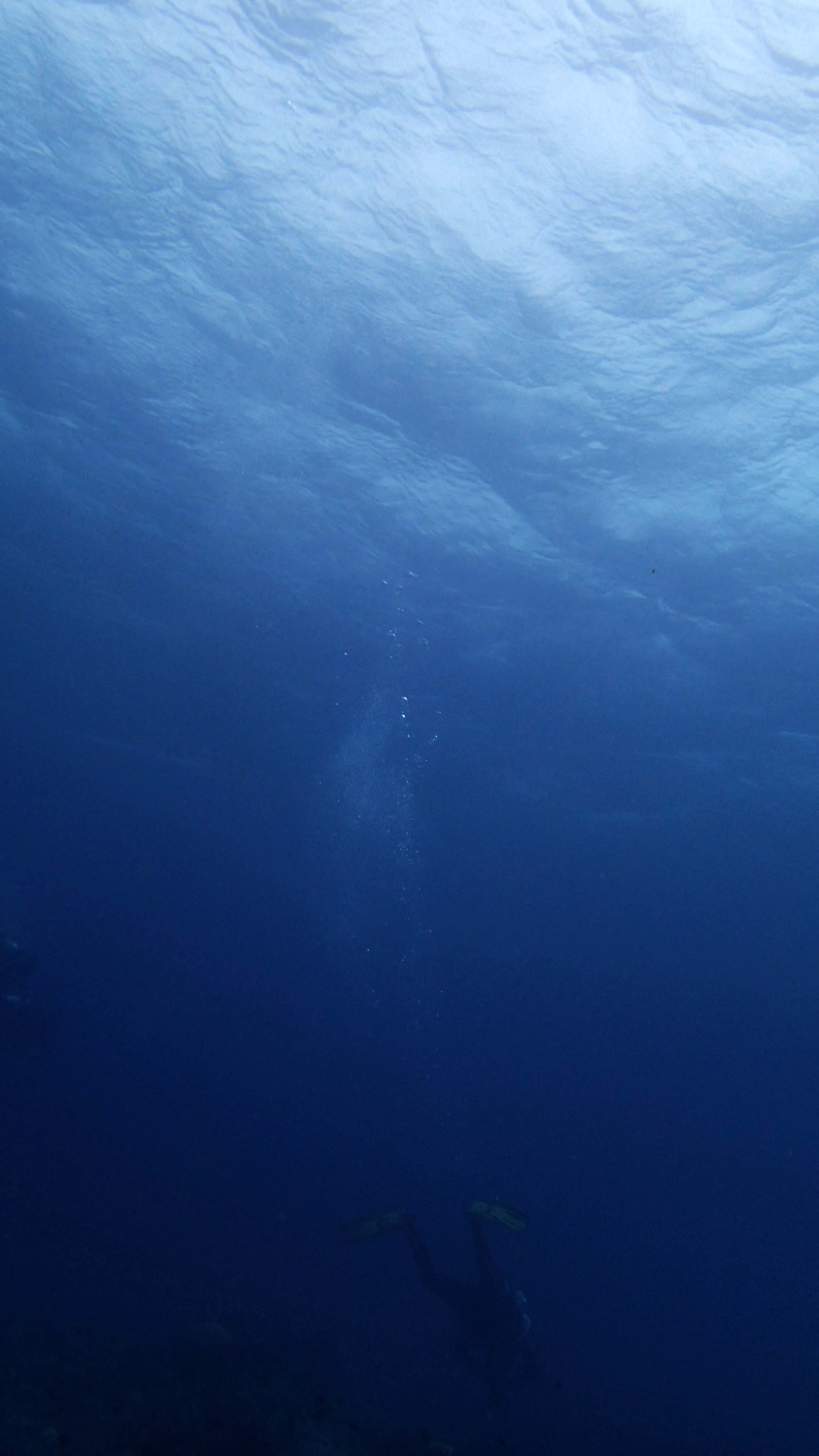 P9230279.png