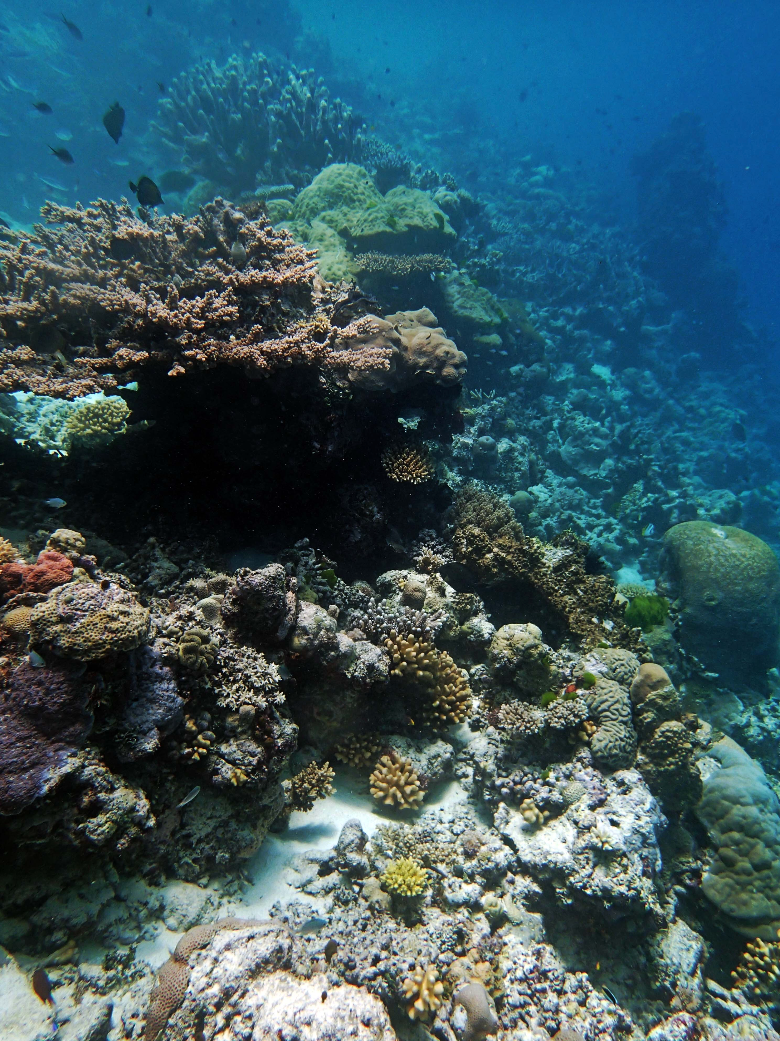 P9230327.png