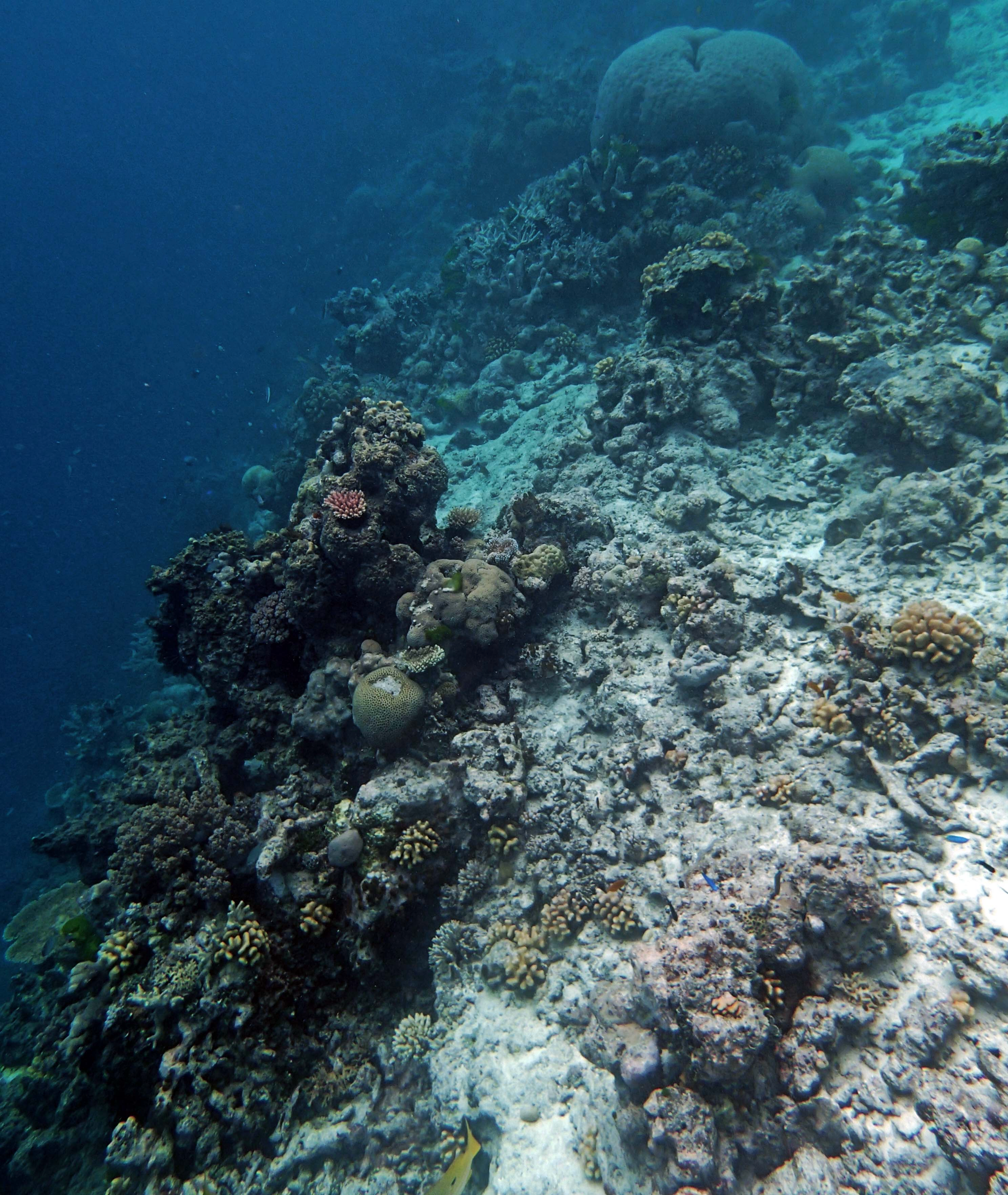 P9230333.png