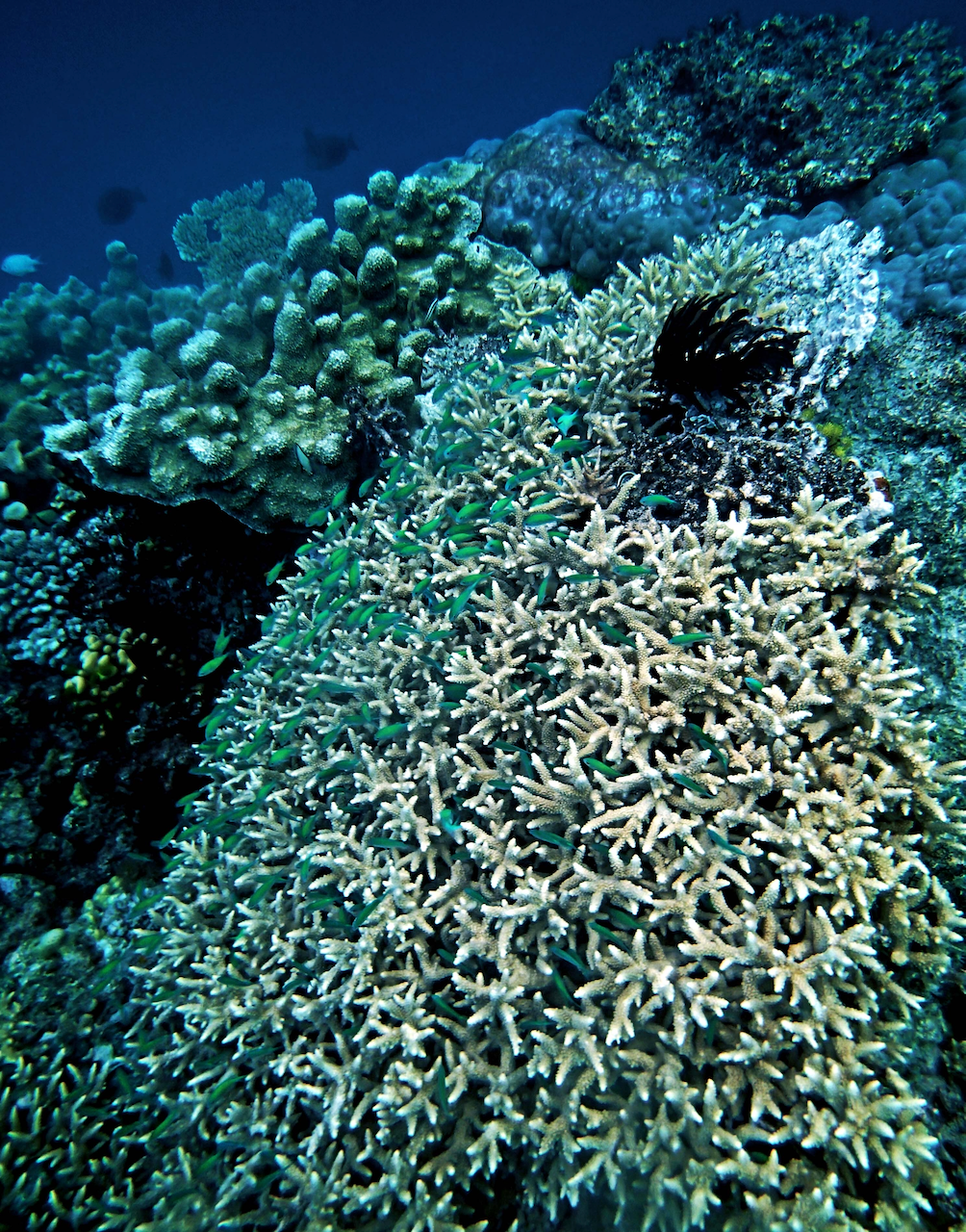 P9230393.png