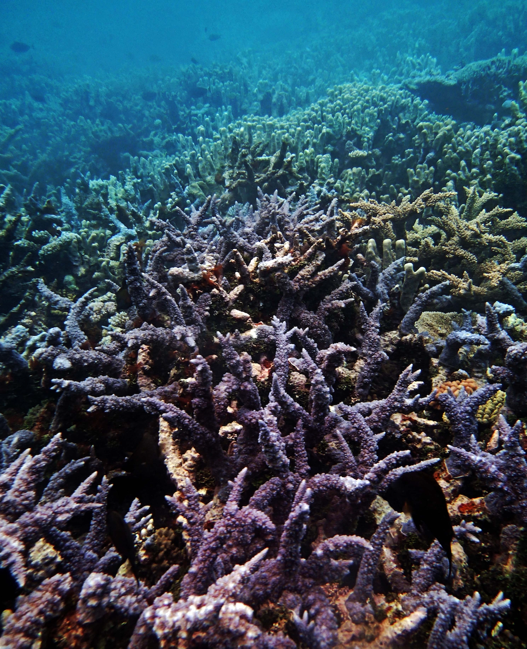 P9230383.png