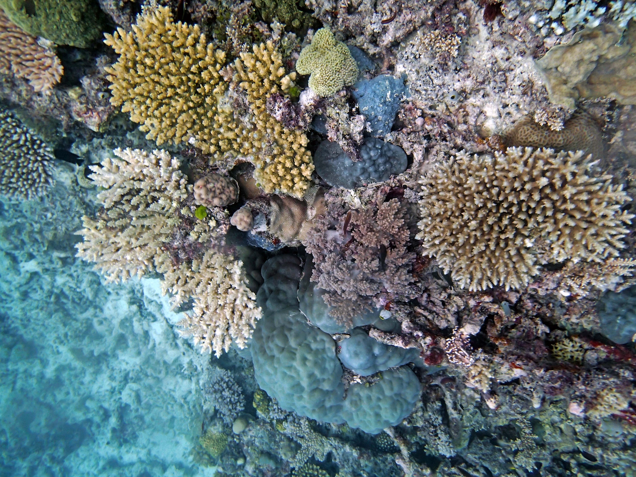 P9230365.png