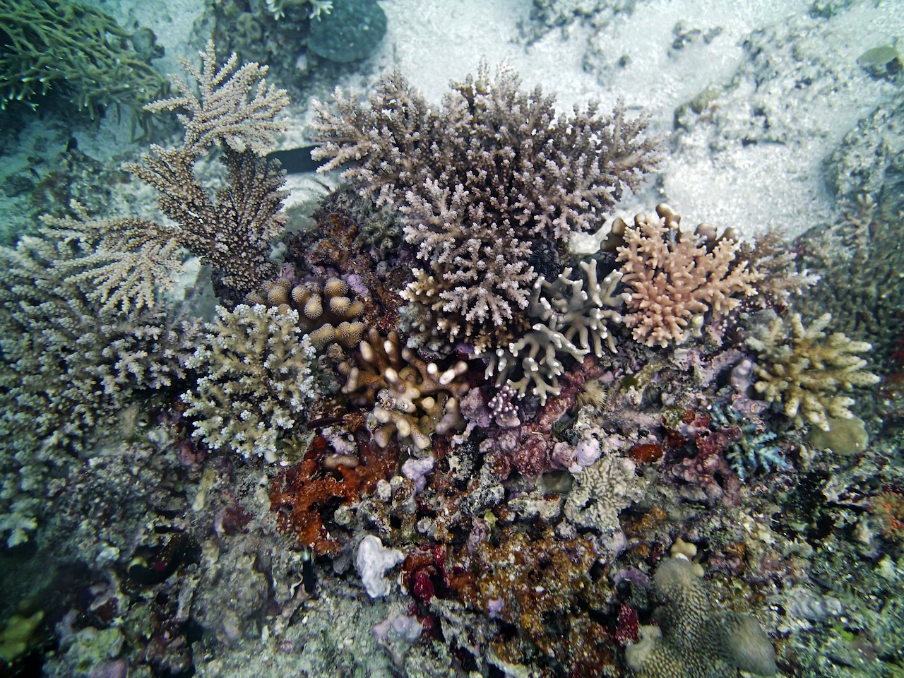 P9230349.png