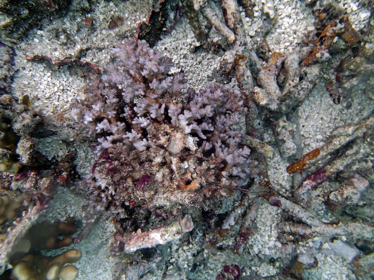 P9230355.png