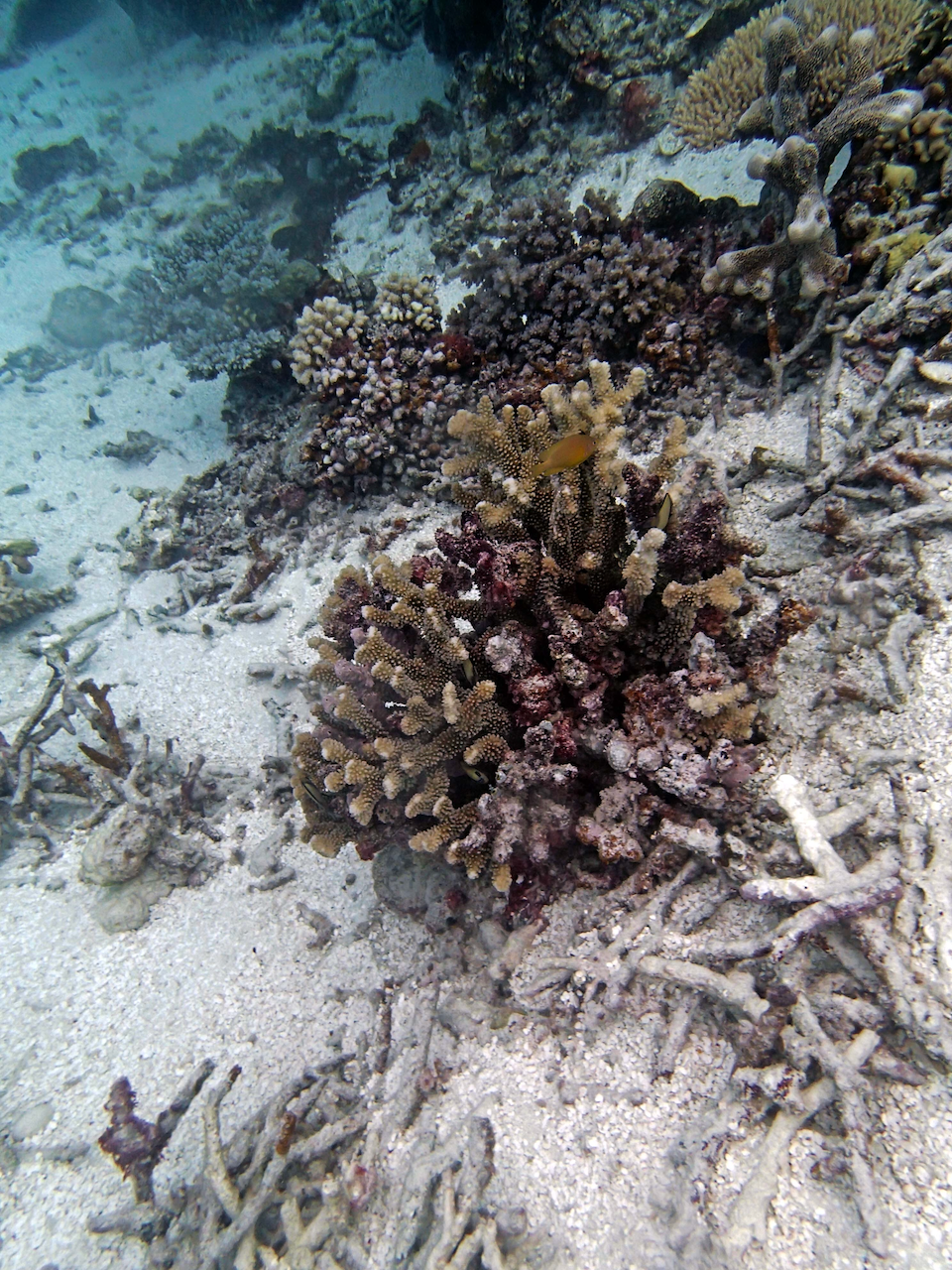 P9230356.png