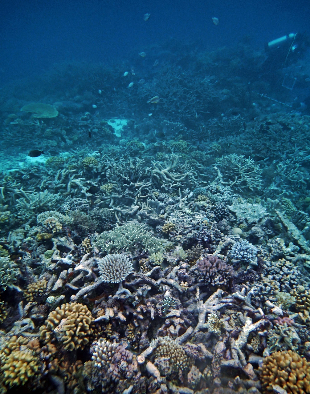 P9230379.png