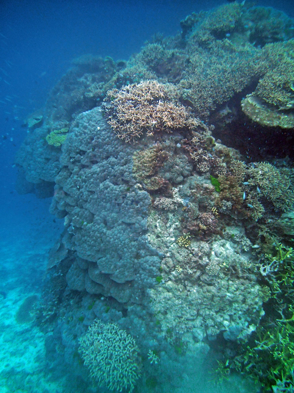 P9230389.png