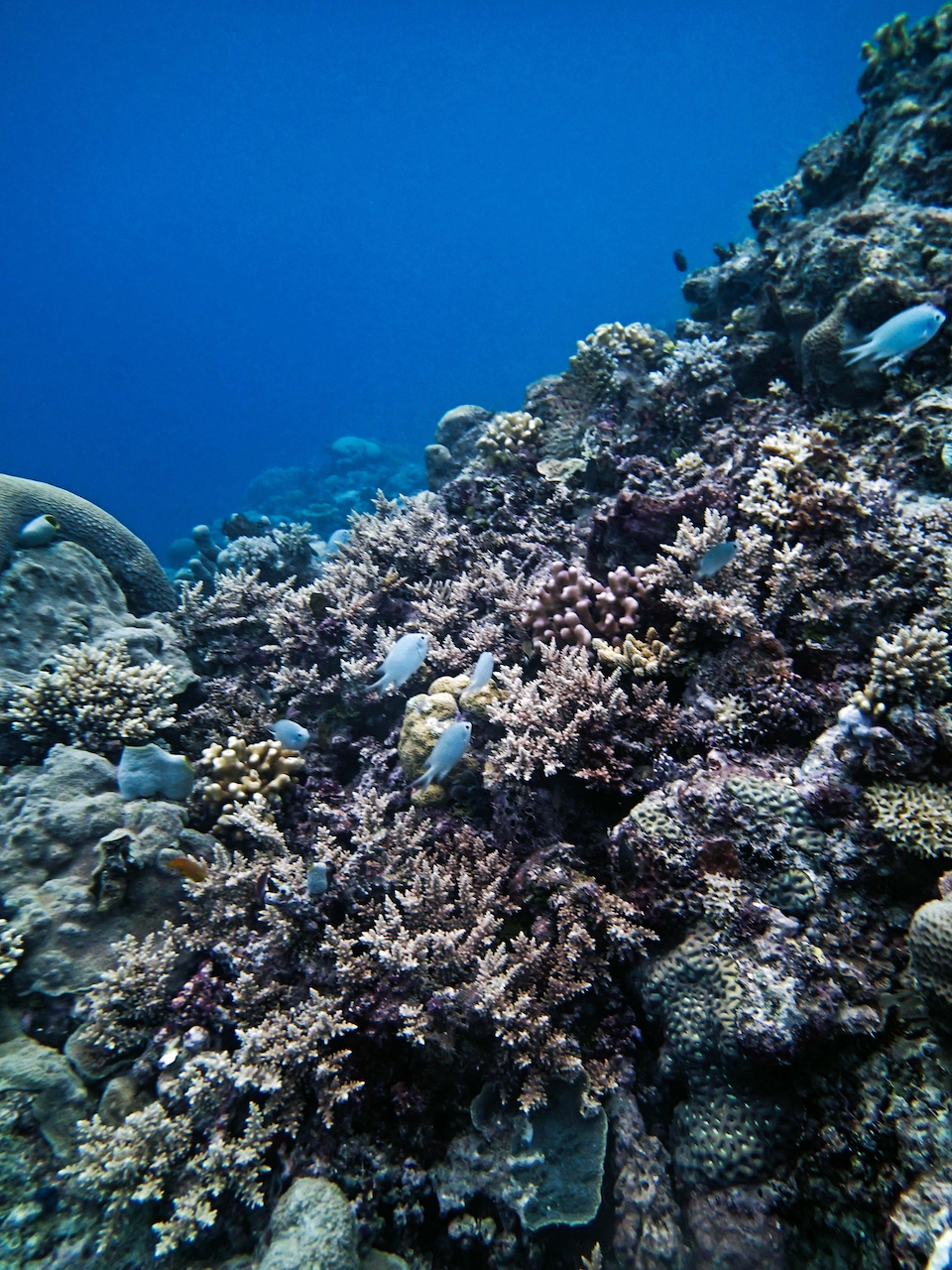 P9230366.png