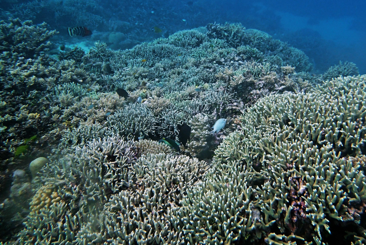 P9230374.png