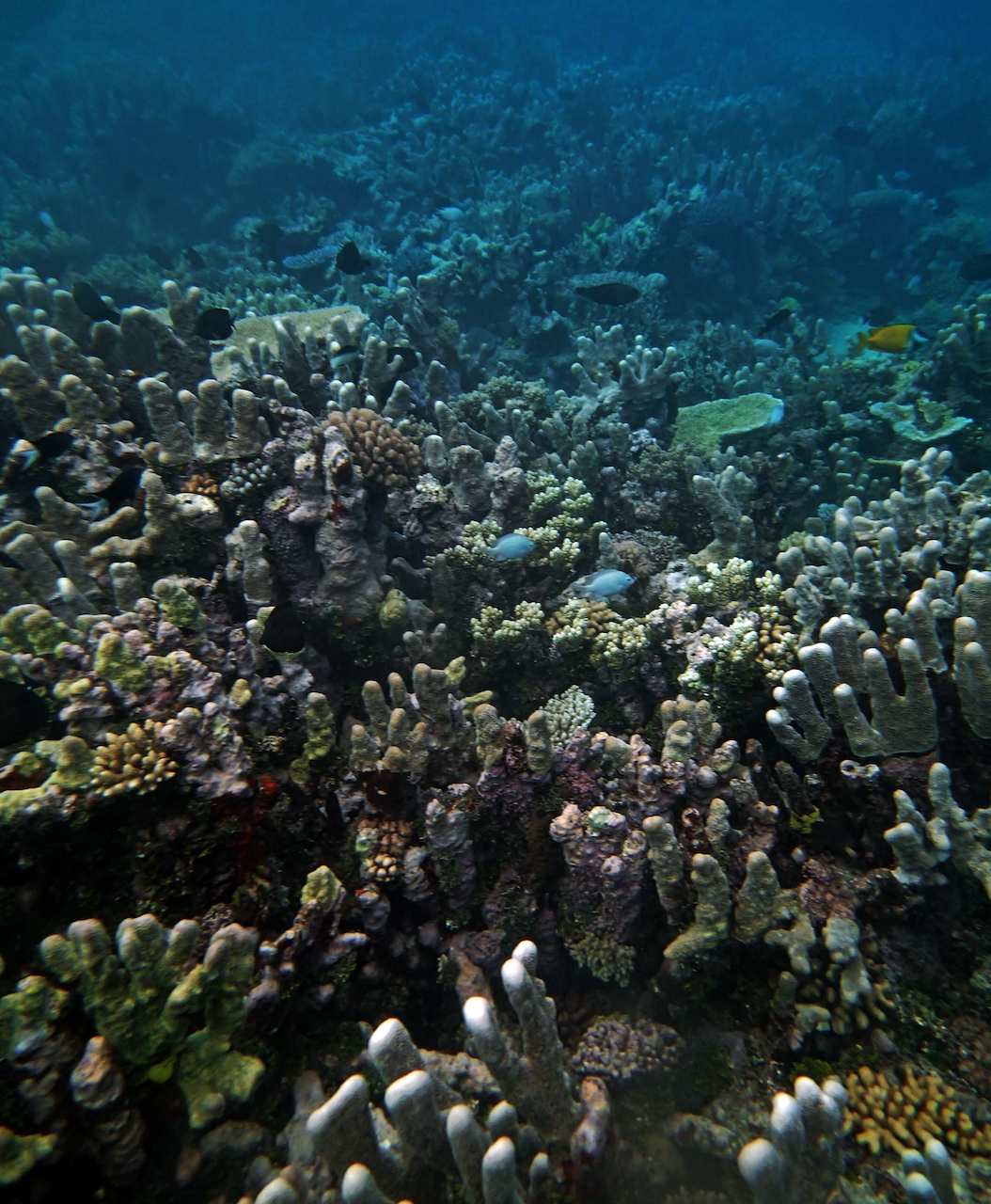 P9230387.png